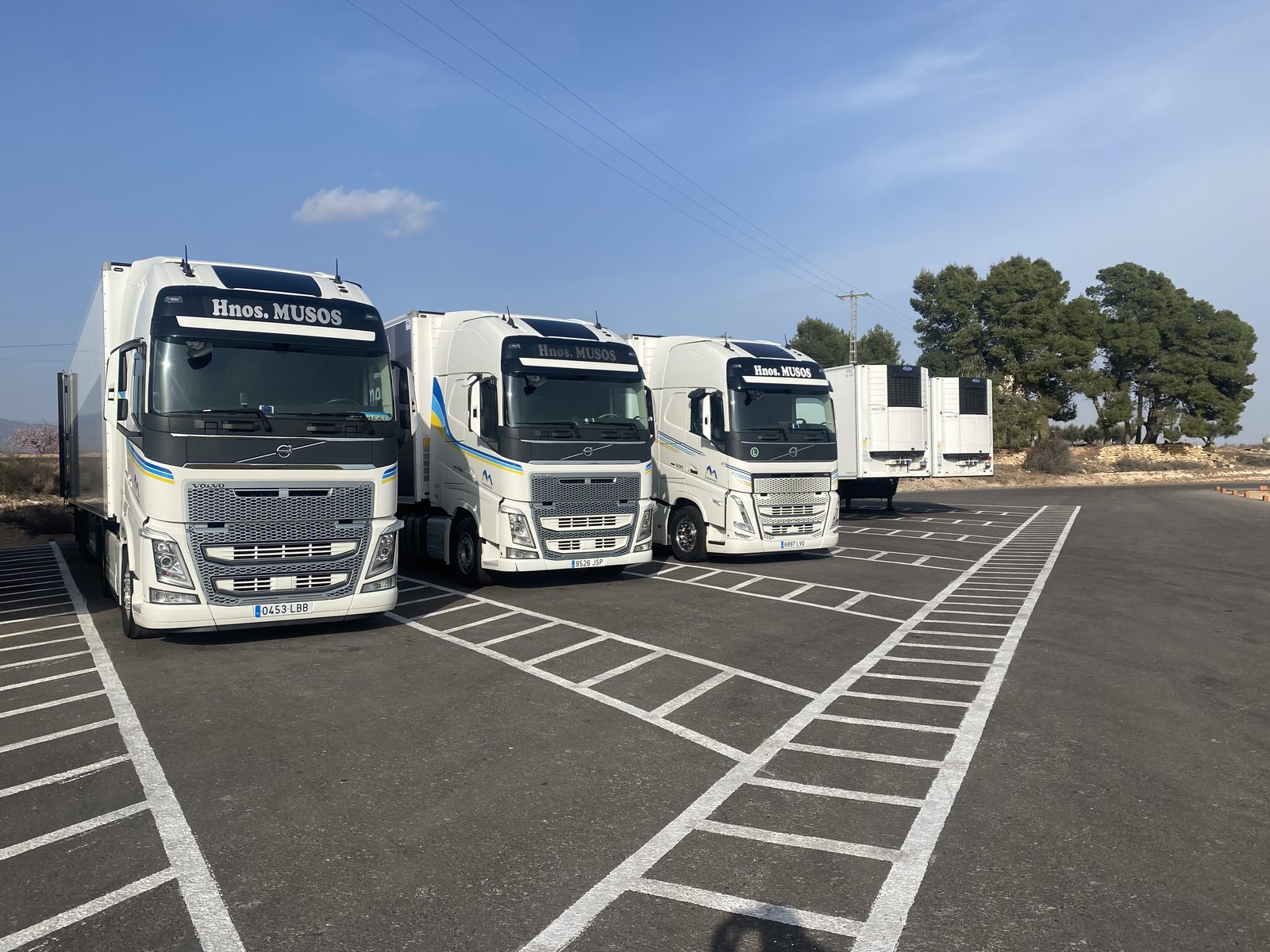 Flota de camiones Volvo de Trans Musos alineada en la base