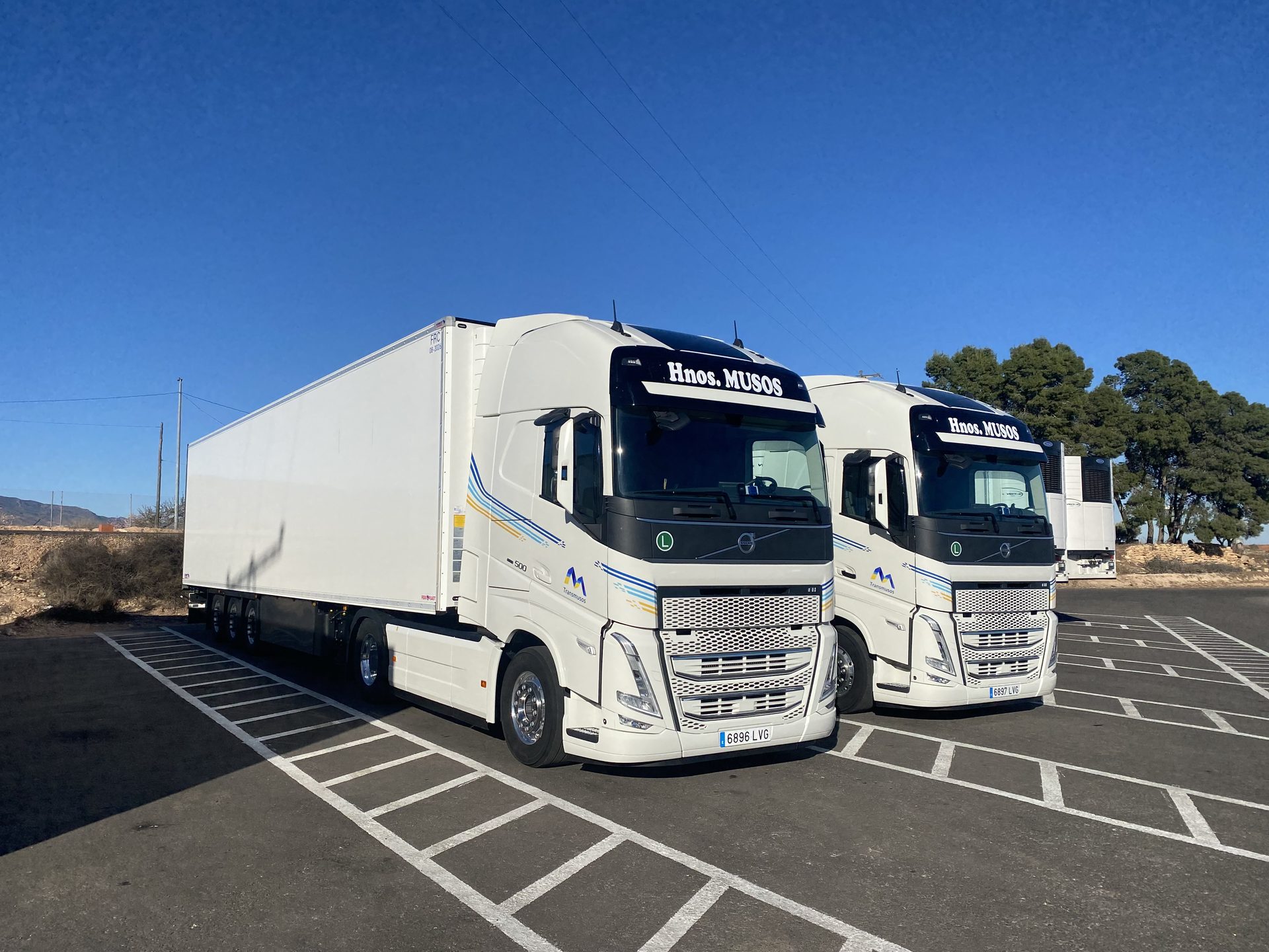 Dos camiones Volvo FH de Trans Musos con remolques frigoríficos